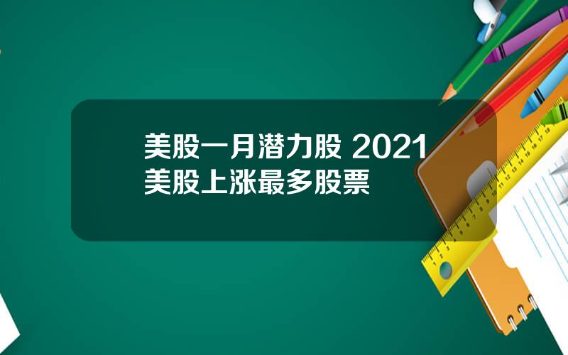 美股一月潜力股 2021美股上涨最多股票